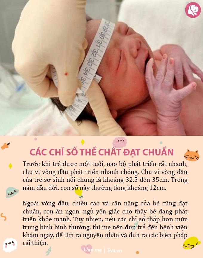 6 phản ứng này xuất hiện càng sớm chứng tỏ bé khỏe mạnh và tài giỏi hơn mẹ nghĩ - 2
