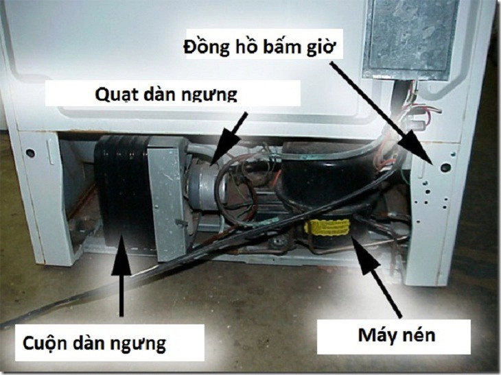 8 dấu hiệu bất thường từ tủ lạnh cần kiểm tra ngay họa đang ẩn trong nhà mà không biết - 2