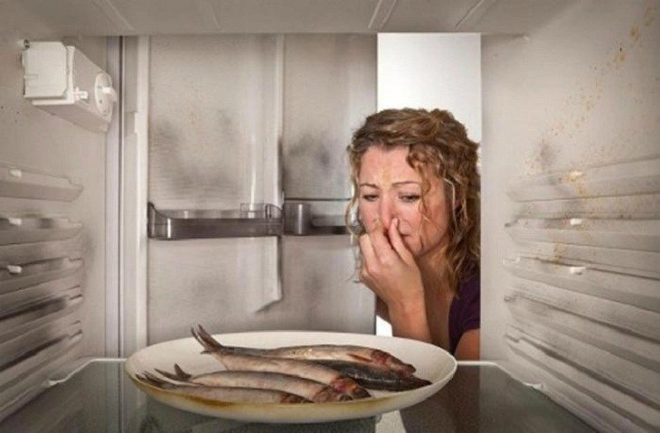 8 dấu hiệu bất thường từ tủ lạnh cần kiểm tra ngay họa đang ẩn trong nhà mà không biết - 4