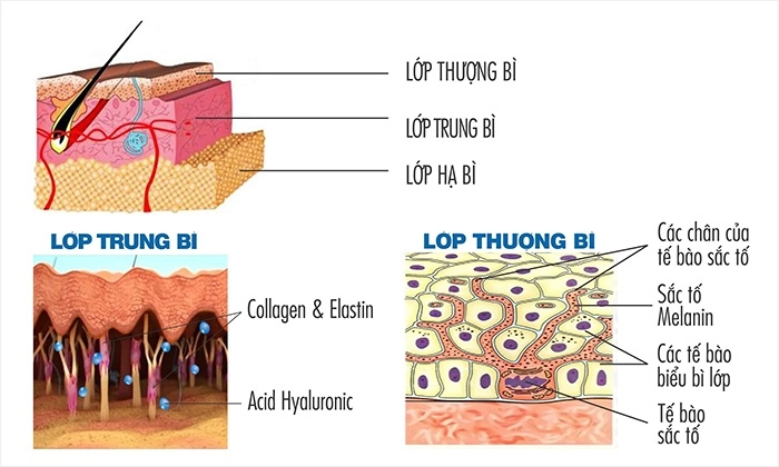 ăn trộm công thức đẹp da của chân dài vbiz có loại mùi khó chịu nhưng hiệu quả tuyệt vời - 1