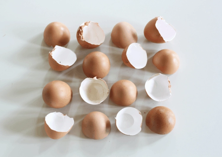 Ăn trứng đừng bỏ vỏ có tới 21 công dụng khiến bạn bất ngờ - 1