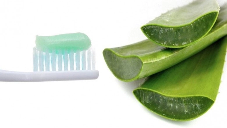 Áp dụng ngay những bí quyết trị mụn bằng nha đam da liền sáng khỏe láng mịn tự nhiên - 9