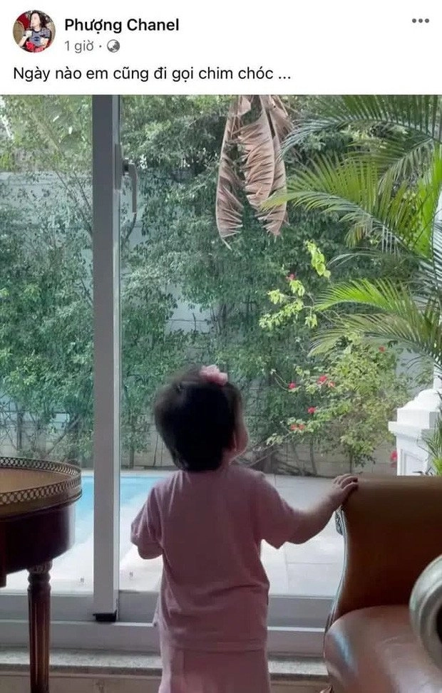 Bà chủ tập đoàn âm thầm sinh con cho nam dv kém 7 tuổi lặng lẽ làm mẹ đơn thân - 7