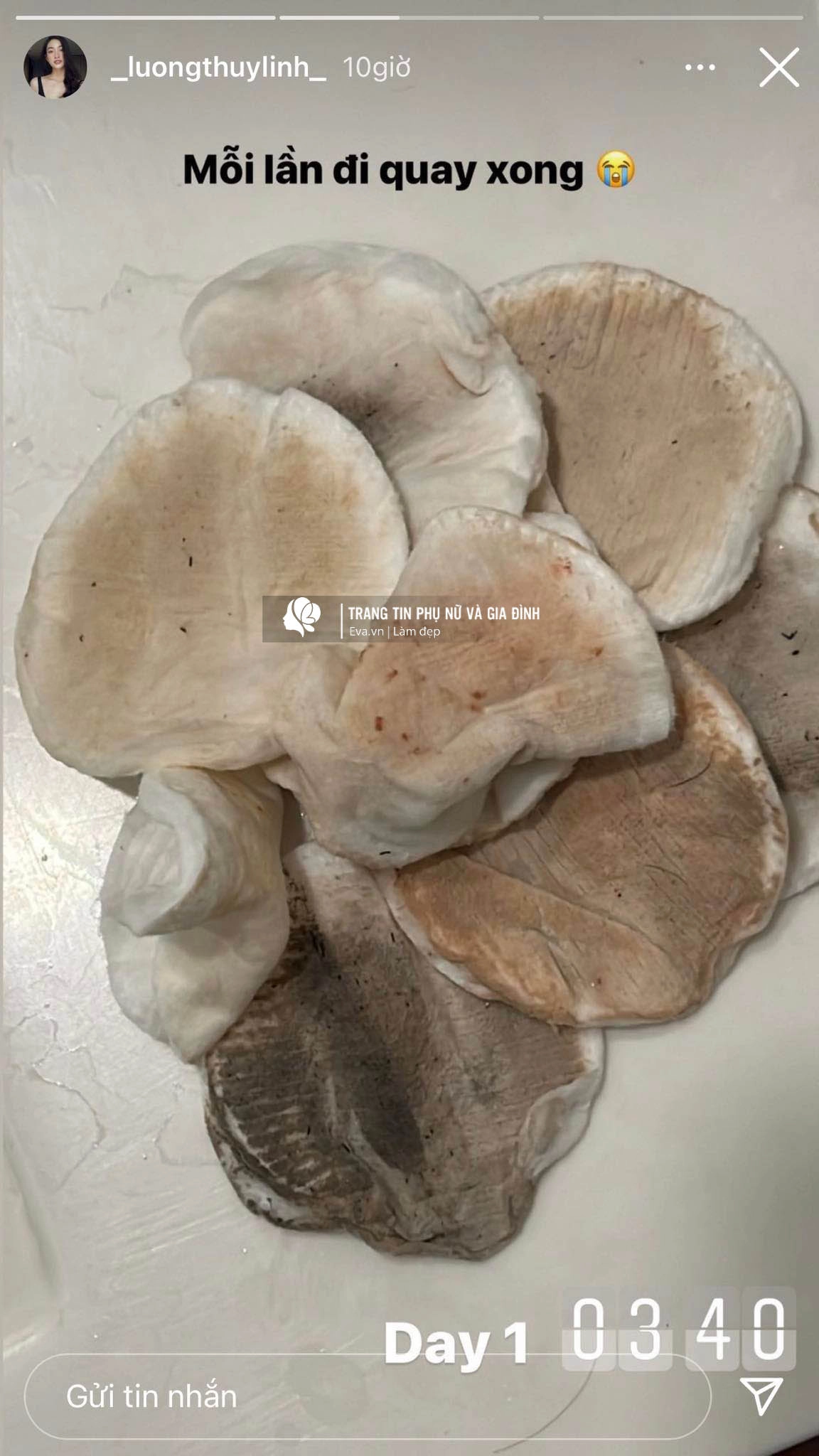 bà trùm hoa hậu tổ chức tiệc dàn gà cưng để mặt mộc tham dự suýt không nhận ra - 12