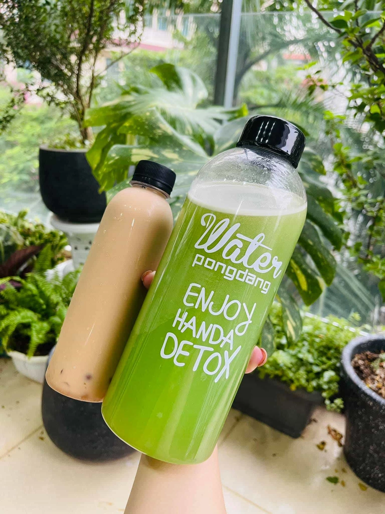 Bà xã hồng đăng uống loại thần dược xanh lè mỗi ngày 2 lít giárẻ bèo thay luôn nước lọc - 6