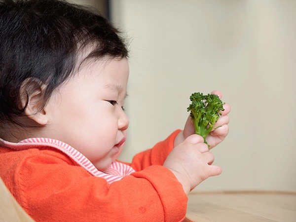 Bảo thy hỏi nên cho con ăn dặm cách nào hội mẹ bỉm trả lời khiến cô muốn sảng - 5