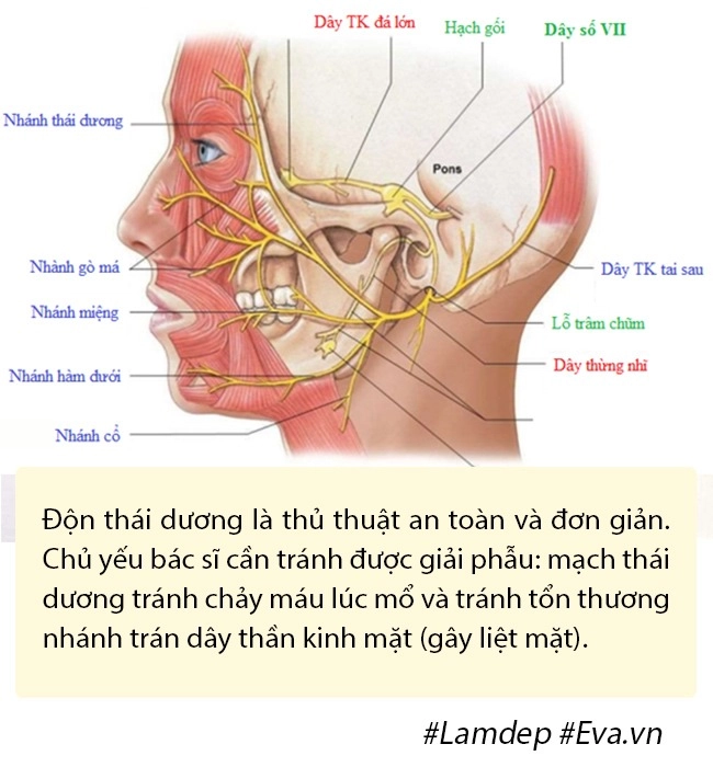 Bất ngờ chuyện cải lão hoàn đồng ra cả chục tuổi chỉ nhờ vài chục phút độn thái dương - 7