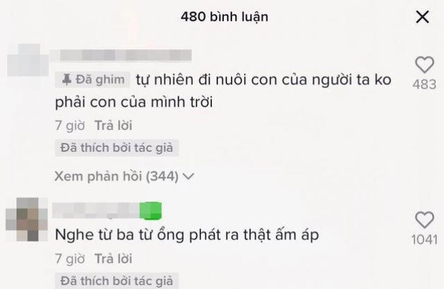 Bị nói nuôi con người ta sau cưới phương trinh jolie lý bình ghim bình luận để đáp trả - 6