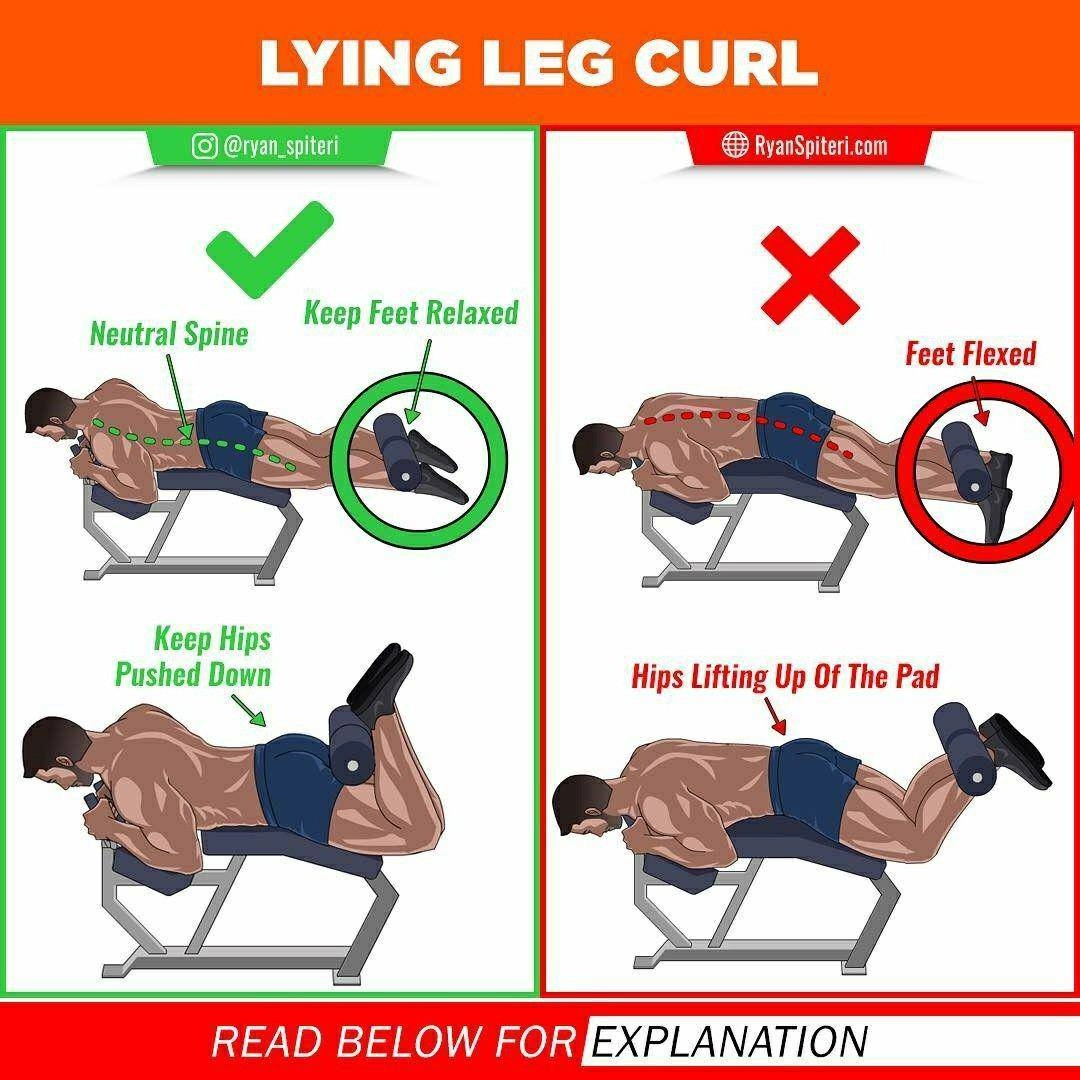 Bỏ mác liễu yếu đào tơ quỳnh nga khoẻ như vâm đẩy tạ 240kg làm ai cũng chóng mặt - 12