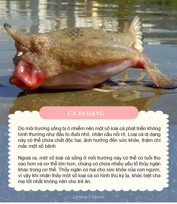 Cá nhiều đạm nhưng 5 loại này được bác sĩ đưa vào danh sách đen mẹ không cho con ăn - 6