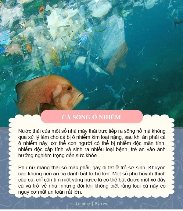 Cá nhiều đạm nhưng 5 loại này được bác sĩ đưa vào danh sách đen mẹ không cho con ăn - 7