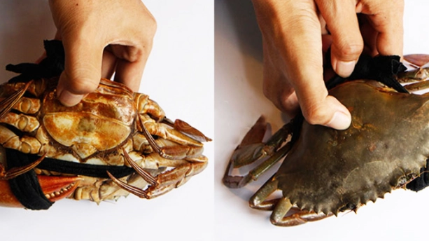 Cách nấu cháo cua biển cho bé thơm ngon đủ dinh dưỡng cực đơn giản - 1