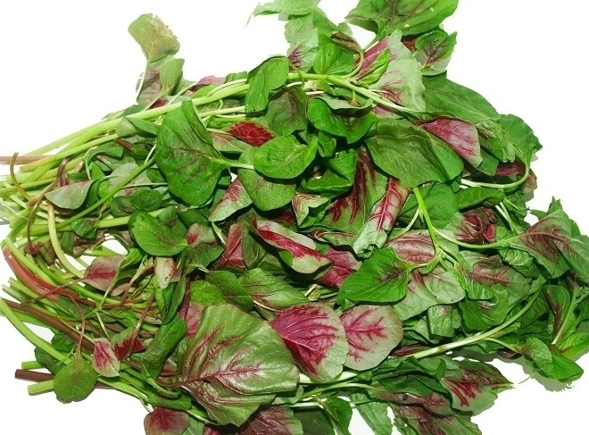 Cách nấu cháo thịt bò rau dền cho bé cực ngon - 4