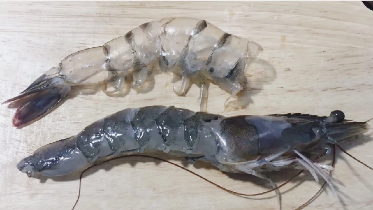 Cách nấu cháo tôm cải bó xôi giàu dinh dưỡng và đơn giản cho bé - 4