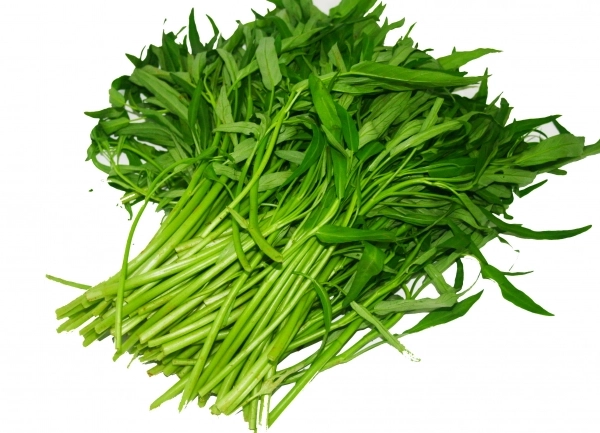 Cách tẩy nốt ruồi an toàn và hướng dẫn chăm sóc sau tẩy tại nhà - 7