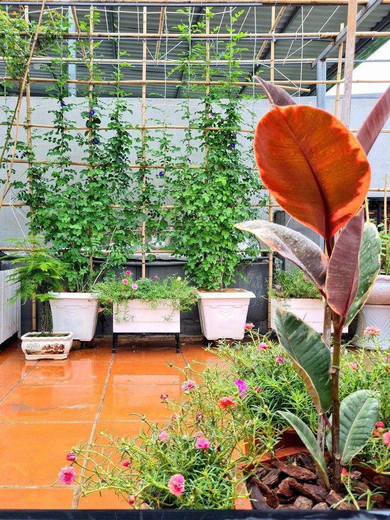 Cải tạo sân thượng 70m2 làm vườn gia đình hà nội có góc sống ảo đẹp rau ăn không xuể - 11