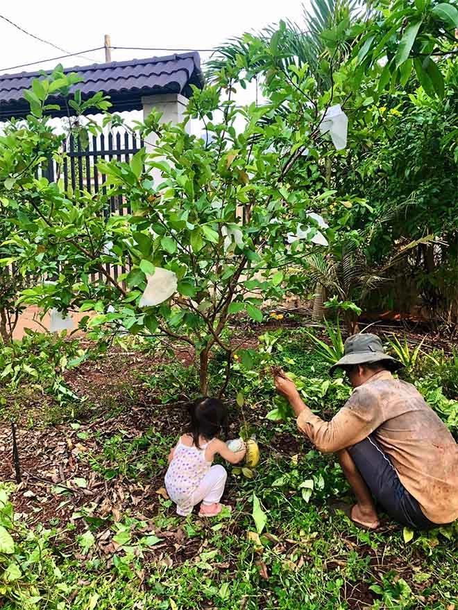 Cặp vợ chồng đưa con gái bỏ sài gòn về miền quê làm hàng xóm với các cụ u70 - 8