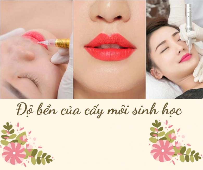 Cấy môi sinh học là gì chuyên gia nói gì về phương pháp cấy hồng môi khử thâm - 14