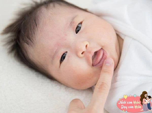 Chăm con đạt chuẩn cần nhớ nguyên tắc 2 chạm 3 không bé lớn nhanh iq cao - 6