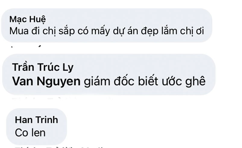 Chân dài chung váy với ngọc trinh bán sầu riêng nuôi hai con mục tiêu có 5 bất động sản - 5