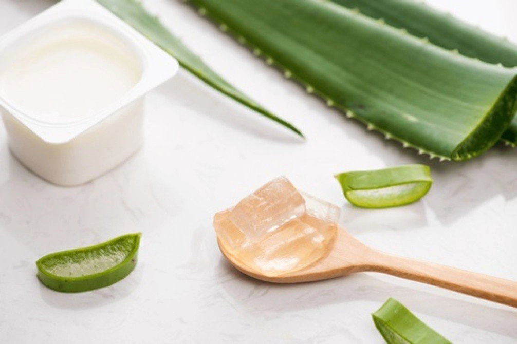 Chẳng cần đi spa nàng vẫn trẻ trung xinh xắn nhờ dưỡng da bằng nha đam ngay tại nhà - 2