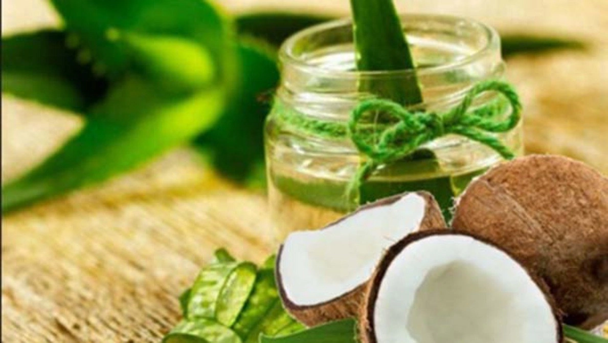 Chẳng cần đi spa nàng vẫn trẻ trung xinh xắn nhờ dưỡng da bằng nha đam ngay tại nhà - 3