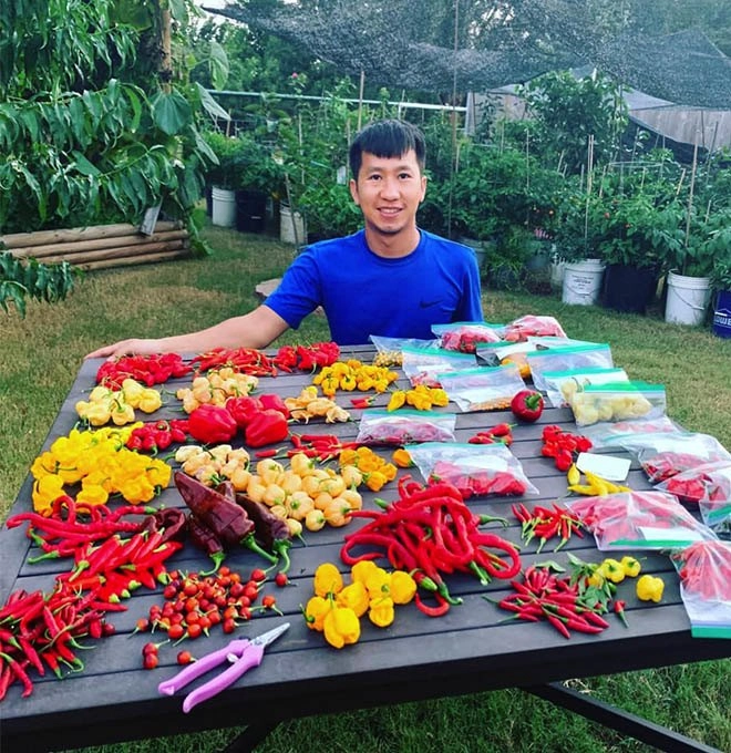 Chàng trai việt sở hữu khu vườn 300m2 trên đất mỹ trồng 2000 loại ớt khác nhau - 1