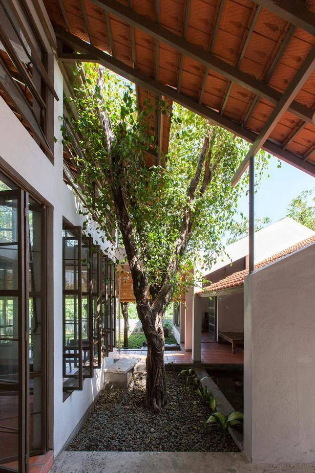 Chiêm ngưỡng nhà mái ngói lấy cây xanh làm xương sống đạt giải vàng kiến trúc năm 2021 - 5
