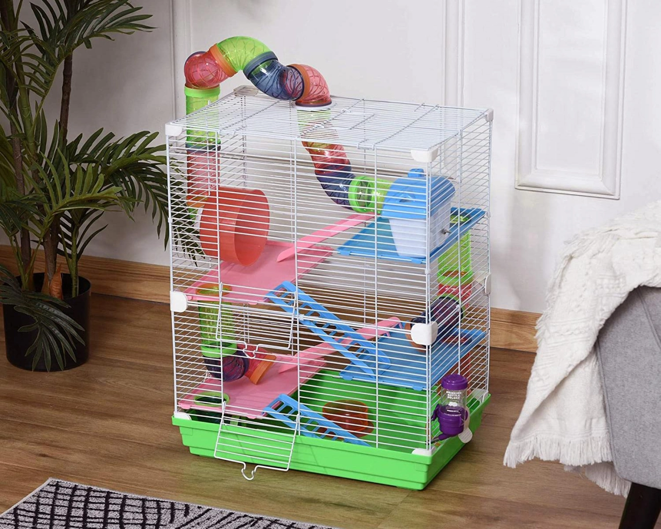 Chuột hamster - phân loại giá bán và cách chăm sóc chuột đẹp khỏe mạnh - 7