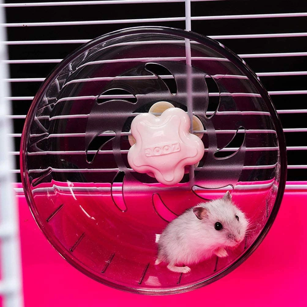 Chuột hamster - phân loại giá bán và cách chăm sóc chuột đẹp khỏe mạnh - 19
