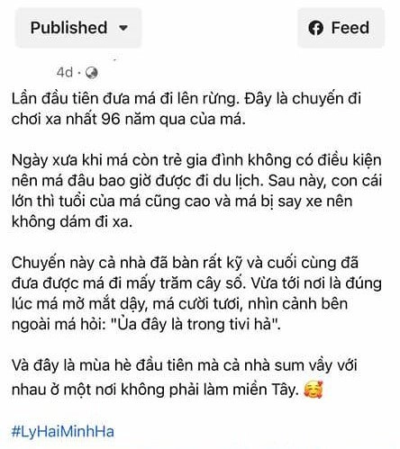 Có 4 công ty nhà 40 tỷ lý hải minh hà phản pháo khi bị chê mẹ 96 tuổi mới lần đầu đưa mẹ đi biển - 13