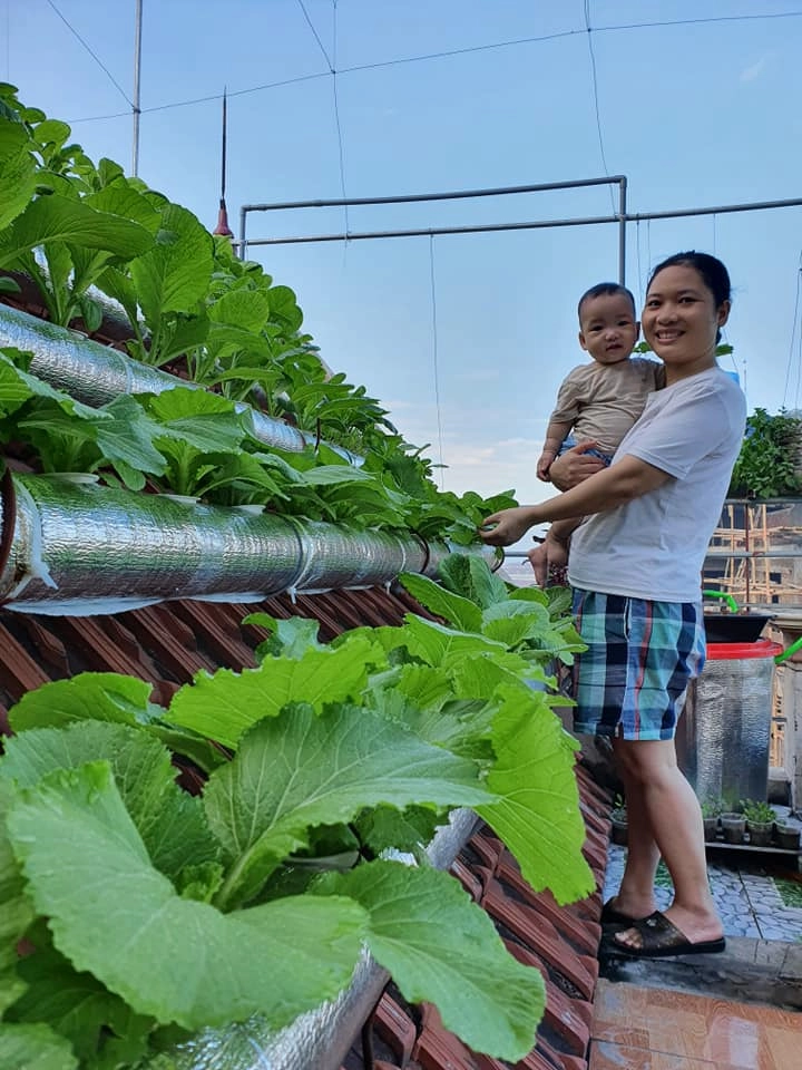 Cô giáo thái bình làm vườn 6m2 trên mái nhà bội thu rau xanh mướt chỉ tốn 2 triệu đồng - 5