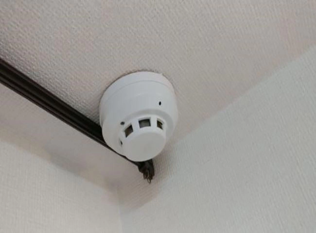 Con gái 5 tuổi ngủ một mình nói bị bóp cổ cha mẹ sốc khi kiểm tra camera - 2