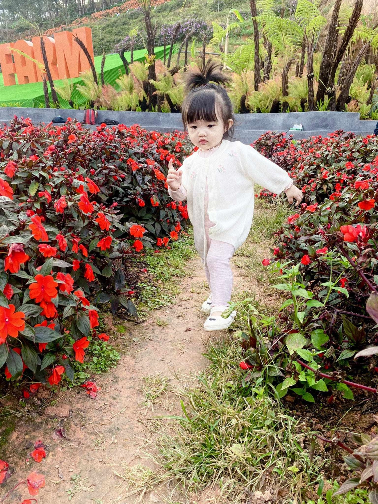 Con gái đông nhi được du lịch khắp nơi lên rừng xuống núi với thời trang đáng yêu hết nấc - 8