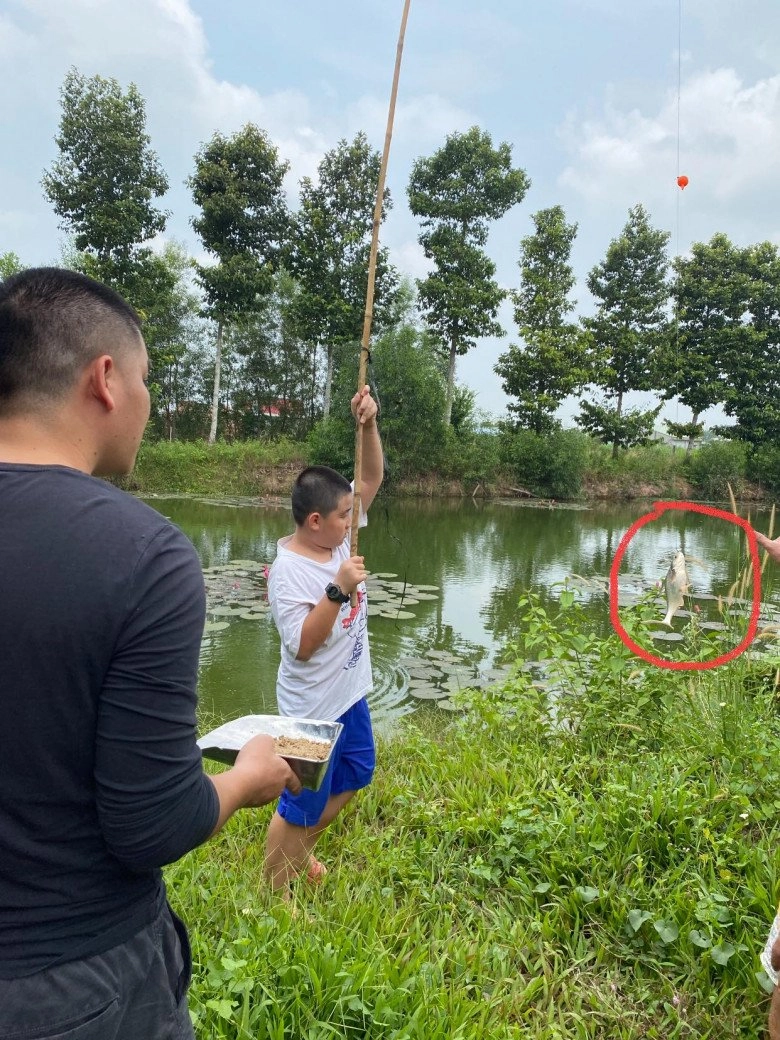Con riêng lê phương và ba dượng giống nhau như đúc đến sở thích cũng giống nhau - 4