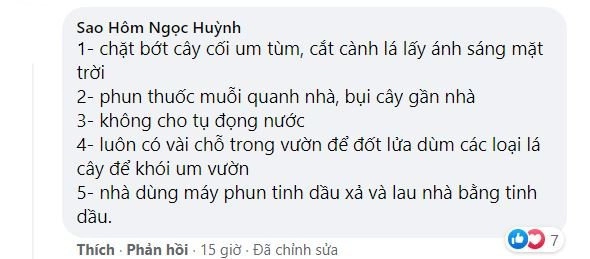 Con trai gặp nạnsưng mặt phù tay ở nông trại nghìn m2lý hải minh hà lên mạng cầu cứu - 12