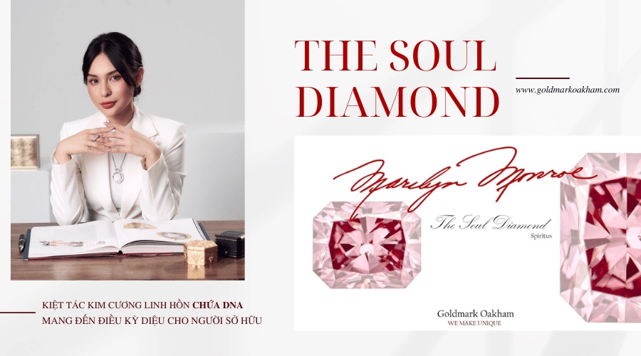 Coo nhàn lê và câu chuyện tạo ra soul diamond chứa dna diệu kỳ - 2