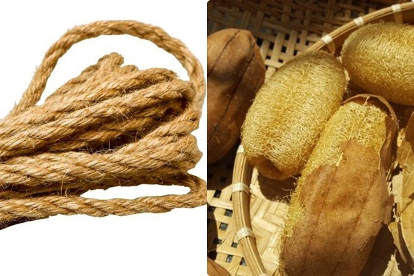 Cung nữ khiếp sợ khi phải tắm cho từ hy thái hậu vì thói quen lạ lùng - 7