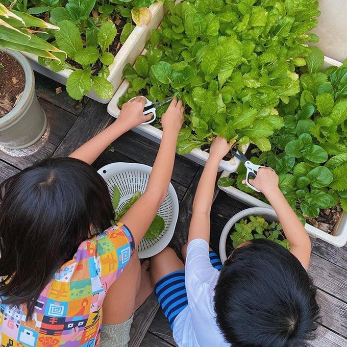 Đại gia việt dạy con tăng thanh hà cho bé 3 tháng đọc sách đoàn di băng giấu con nhà giàu - 4