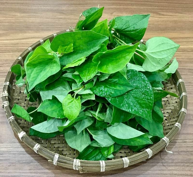 Đánh bay thâm mụn mà chẳng tốn mấy đồng với những công thức mặt nạ diếp cá siêu đơn giản - 1
