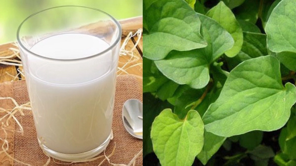 Đánh bay thâm mụn mà chẳng tốn mấy đồng với những công thức mặt nạ diếp cá siêu đơn giản - 3