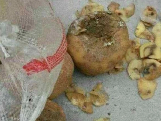 Đóng 4 triệutháng tiền ăn trưa cho con mẫu giáo mẹ tức giận khi nhìn bức ảnh món ăn - 3