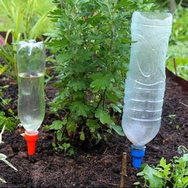 Đừng dùng nước máy tưới cho cây thay bằng những loại nước này tốt hơn 10 lần - 3