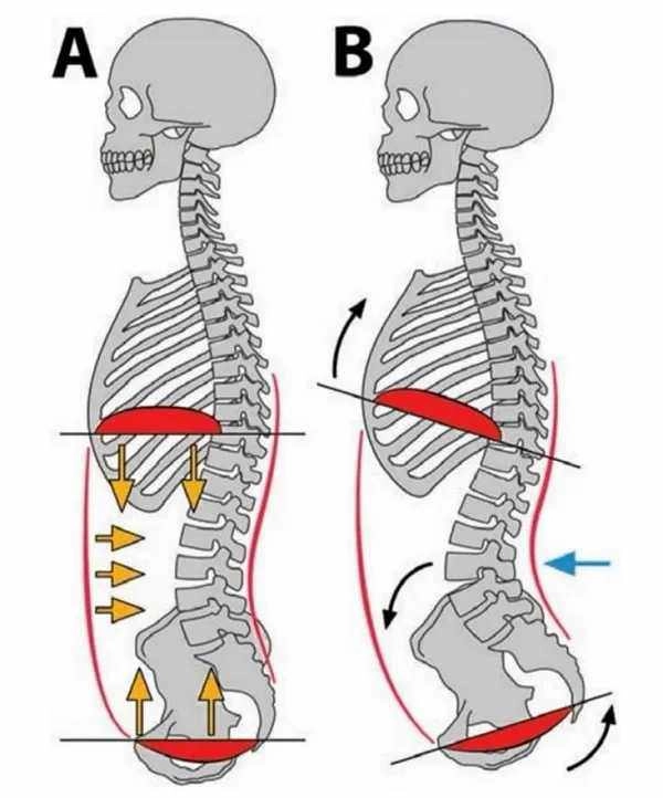 Đứng hay ngồi sai cách cũng làm dáng xiêu vẹo nàng chớ lo bởi tập gym có thể cải thiện - 16