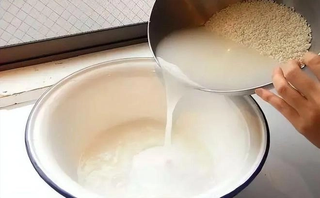 Đừng tưới trực tiếp nước vo gạo thêm chút gia vị này để 10 ngày công dụng tăng gấp đôi - 1