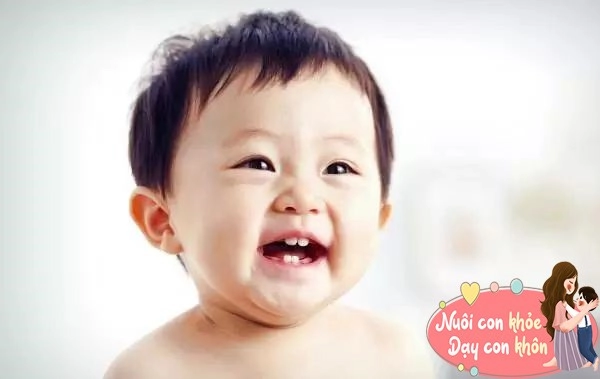 Đừng vội vứt răng sữa của con chúng có thể cứu trẻ trong tương lai chuyên gia giải đáp - 3