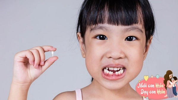 Đừng vội vứt răng sữa của con chúng có thể cứu trẻ trong tương lai chuyên gia giải đáp - 5