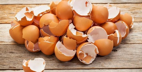 Đừng vứt vỏ trứng đi mà hãy ném vào ấm điện một lúc sau điều bất ngờ sẽ xảy ra - 1