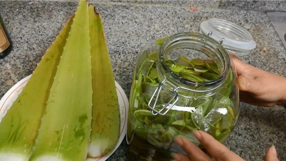 Dưỡng da căng bóng sáng hồng tự nhiên nhờ những cách làm đẹp từ nha đam siêu đơn giản - 4