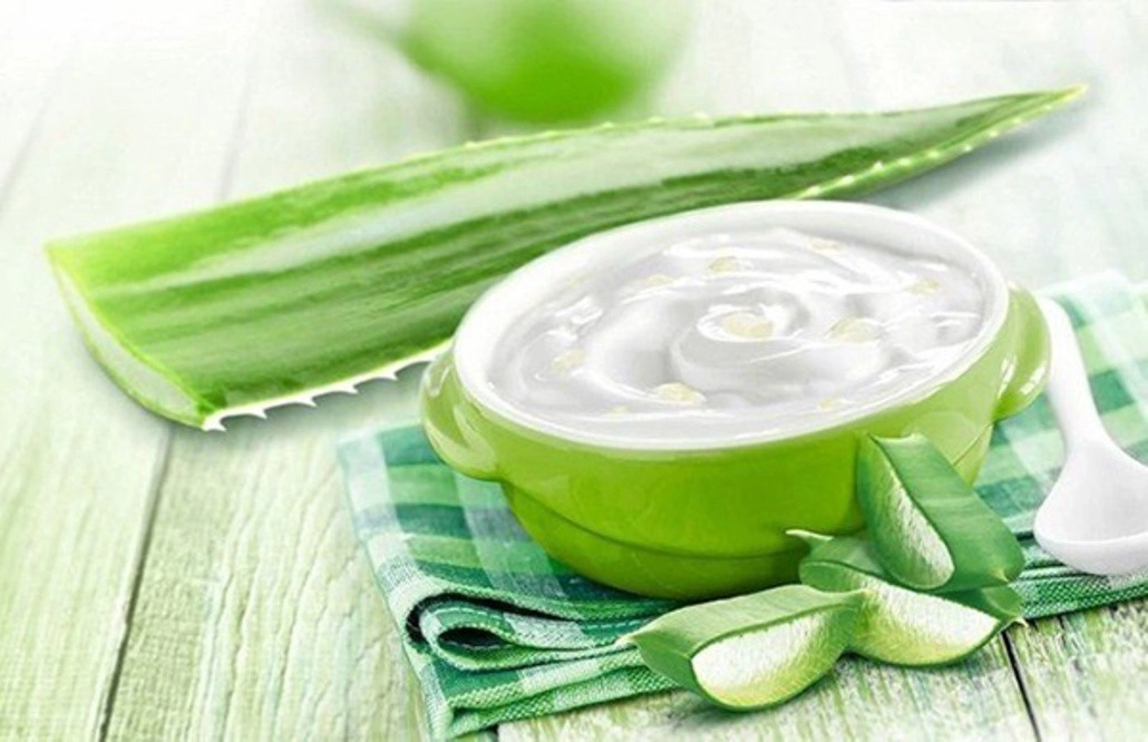 Dưỡng da sáng mịn mà chẳng tốn mấy đồng với những cách làm trắng da bằng nha đam tại nhà - 1